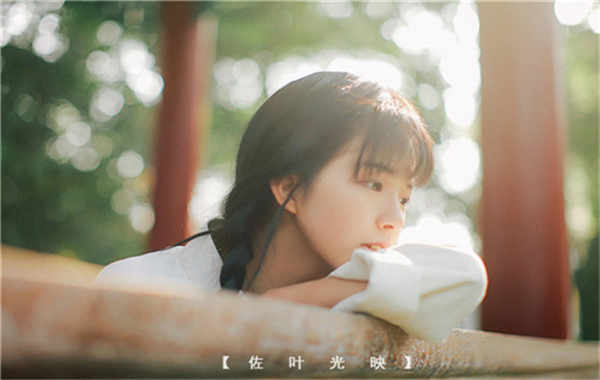 上蔡胎儿性别鉴定需要多少钱(胎儿性别鉴定的方法)
