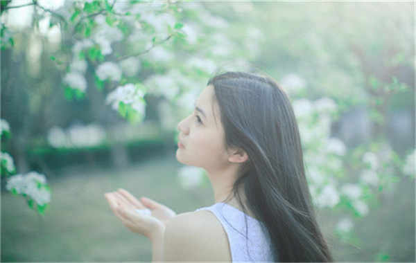上蔡验血查男女几周可以验(验血查男女结果图)